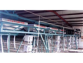 蛋、種雞自動給料機